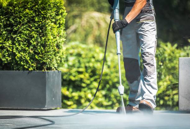 Best Pool Deck Cleaning  in Lower Lake, CA