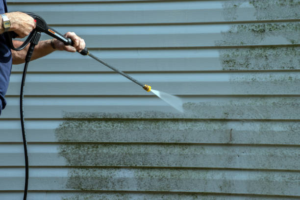 Best Gutter Cleaning  in Lower Lake, CA